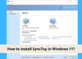 synctoy Windows 11.