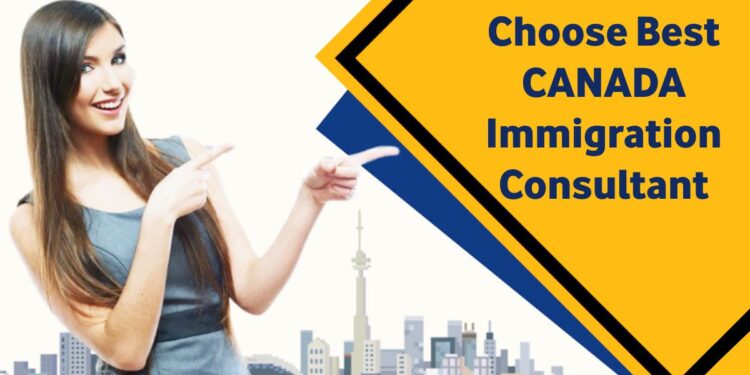 BENEFITS OF SERVICES OF CANADA IMMIGRATION CONSULTANTS