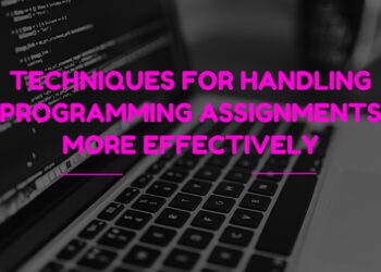 Techniques For Handling Programming Assignments More Effectively