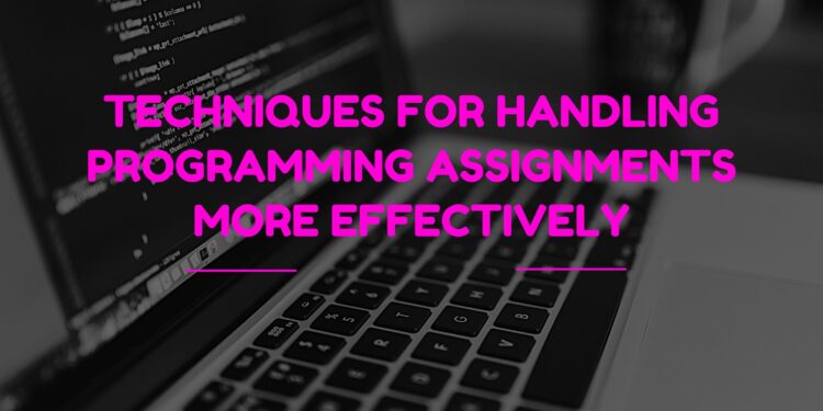 Techniques For Handling Programming Assignments More Effectively