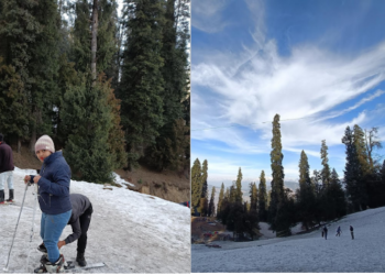 Most Beautiful Places in Narkanda, Himachal Pradesh