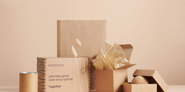Choosing Eco-Friendly Packaging: Important Mistakes To Avoid