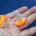 Why To Gift Custom Molded Earplugs to Your Staff Members?