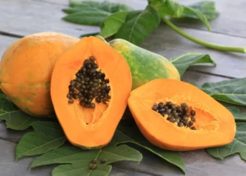 Papaya Uses, Benefits & Side Effects