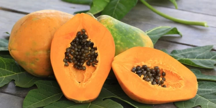 Papaya Uses, Benefits & Side Effects
