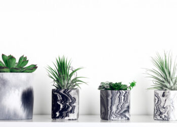 ceramic planters
