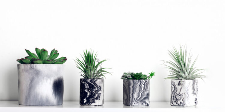 ceramic planters